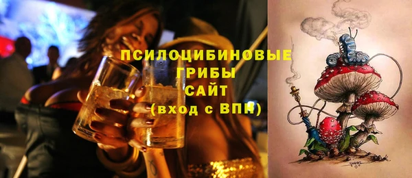 spice Беломорск