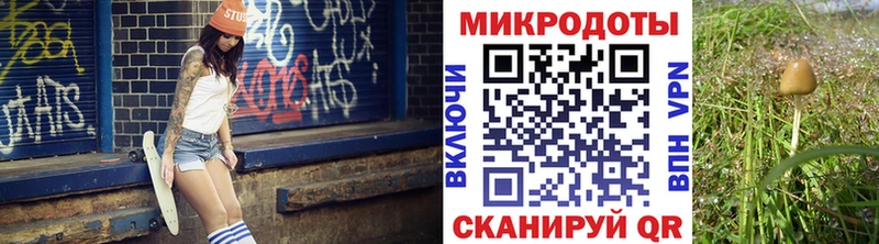 Псилоцибиновые грибы Cubensis  OMG ссылка  Крымск 